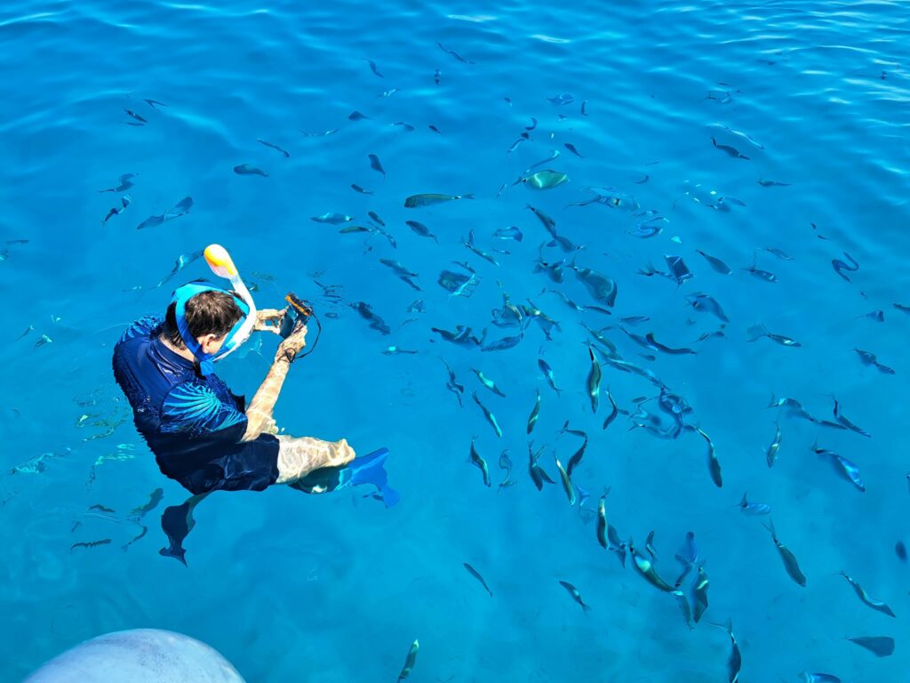 nageur dans une eau turquoise photographiant des poissons